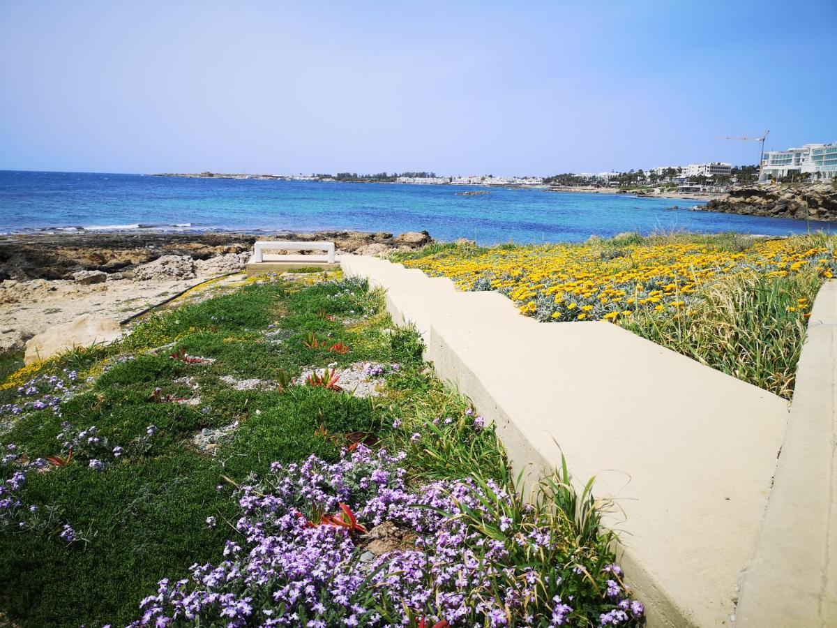 Tedy'S Townhouse-Margarita Gardens Villa Paphos Kültér fotó